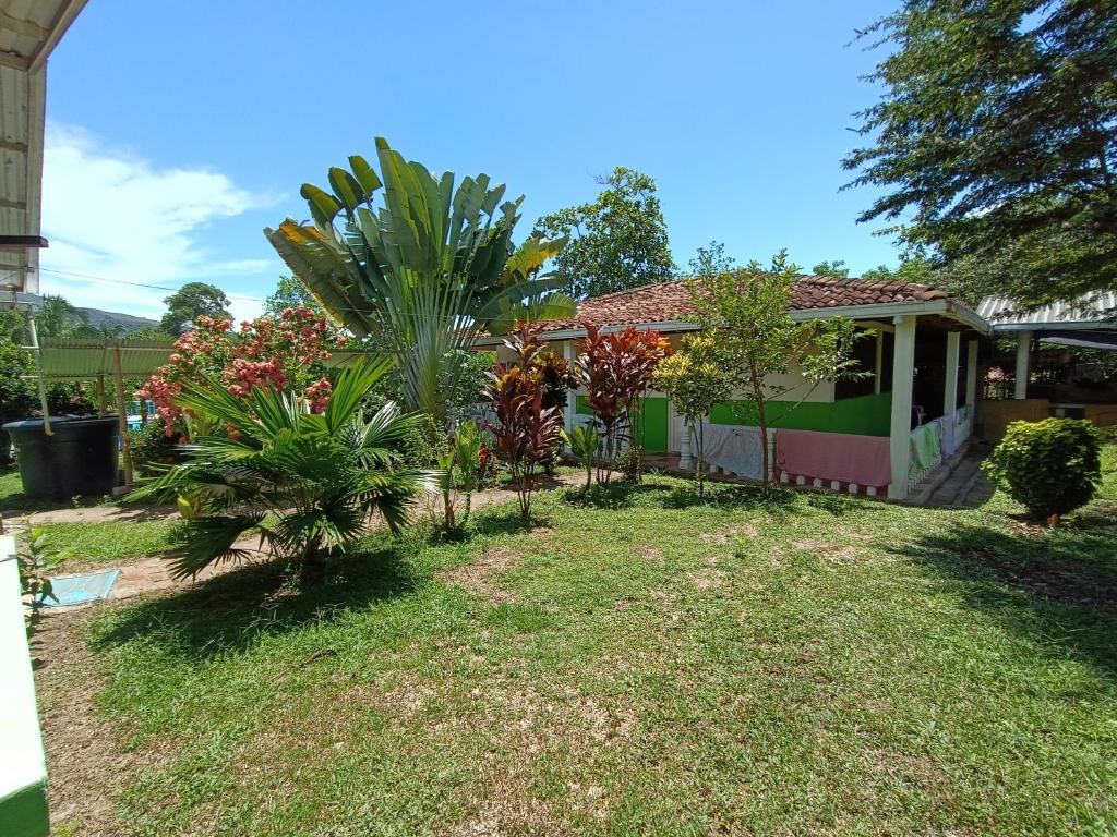 Paraiso escondido finca villa alejandra - 5