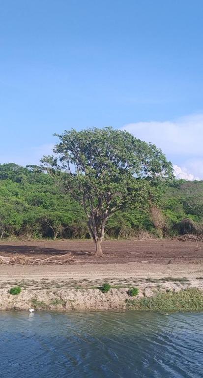 Comfortable apartment near the beach Manzanillo Sector - 3