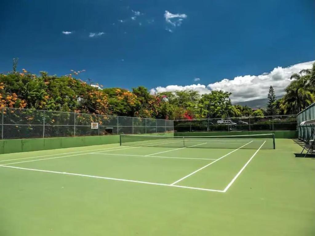 テニスコート