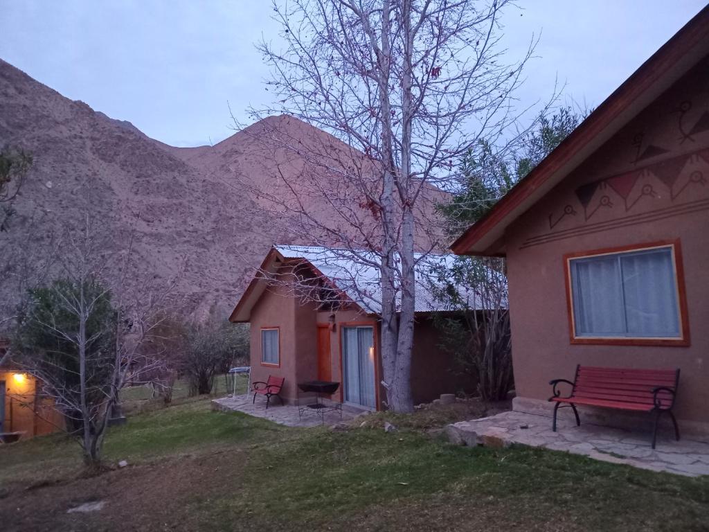 Cabañas Los Sauzales del Elqui - 3