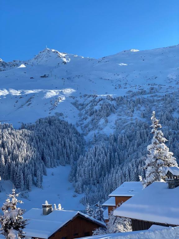 Appartement de luxe 4 adultes 2 enfants 3 chambres Méribel Mottaret location du samedi au samedi - 4