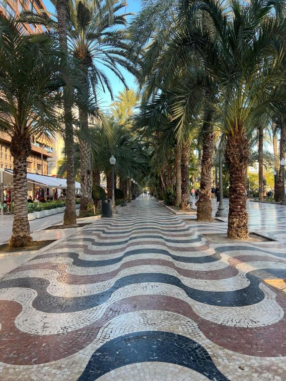 NUEVO bonito ático centro tradicional en Alicante Mercado Central - 4