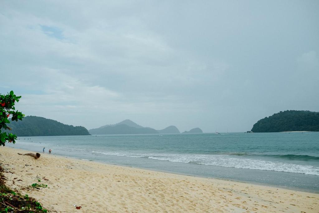 Surrounding environment