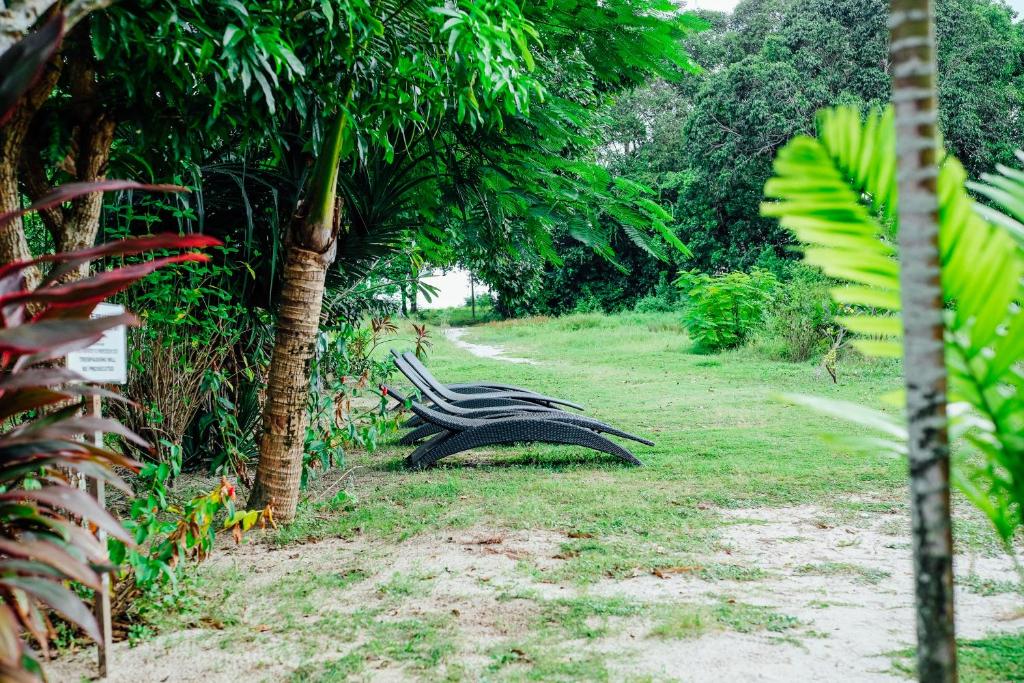 Surrounding environment