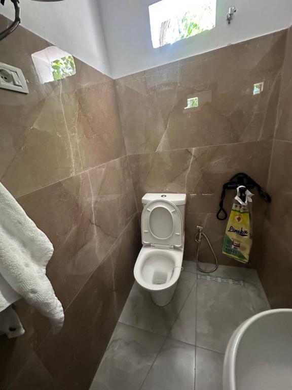 Airport nest, Kamëz