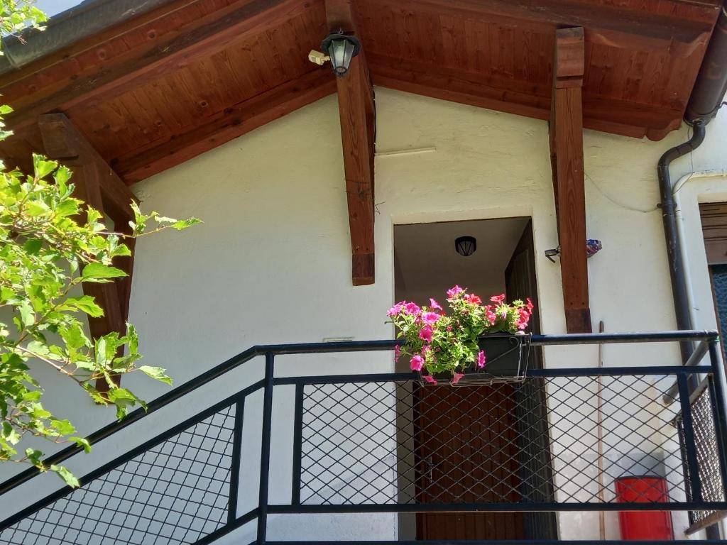 Maison du bois - 5
