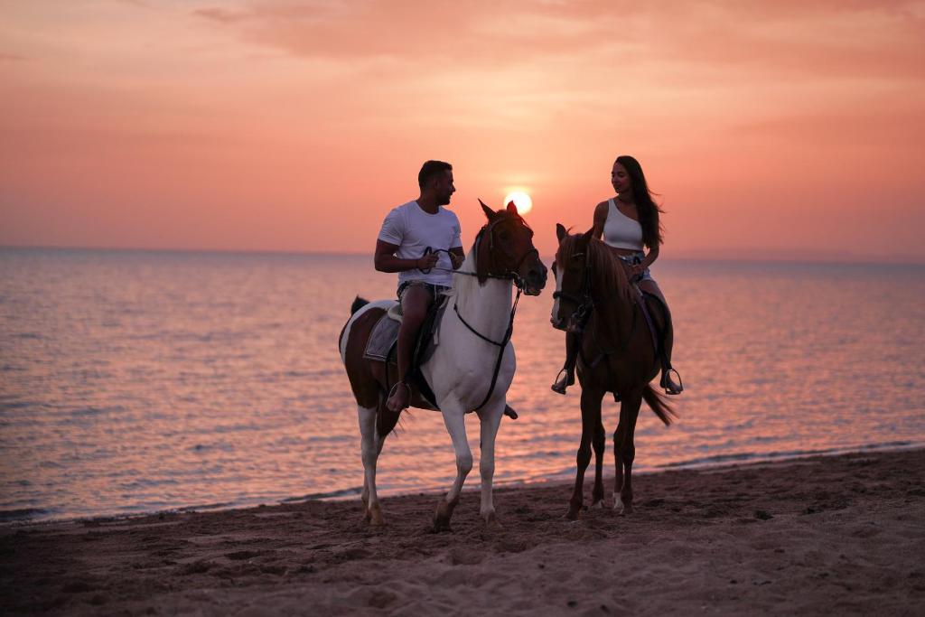 Horseback riding
