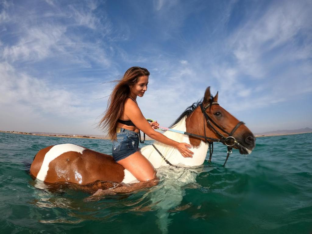 Horseback riding