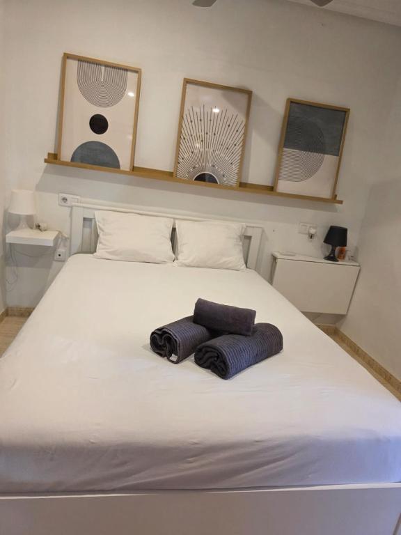 Apartamento Naturista Torremar - 2