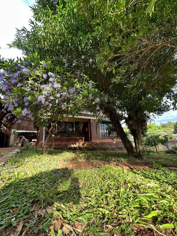 La Rosa House - Central house in Eldorado - 4
