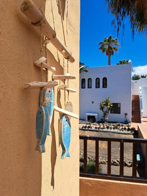 Oasis en Corralejo - 3