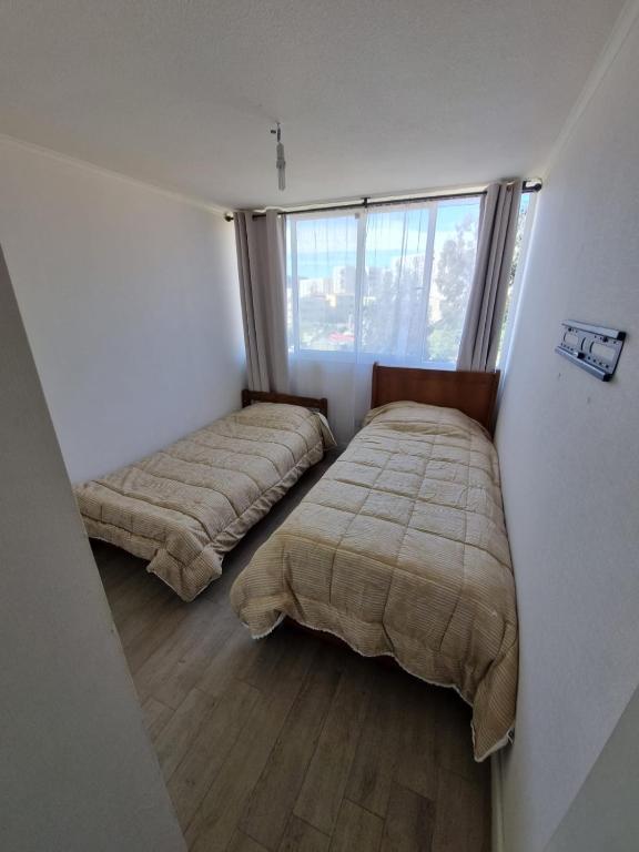 Entire apartment in Viña del Mar - 5