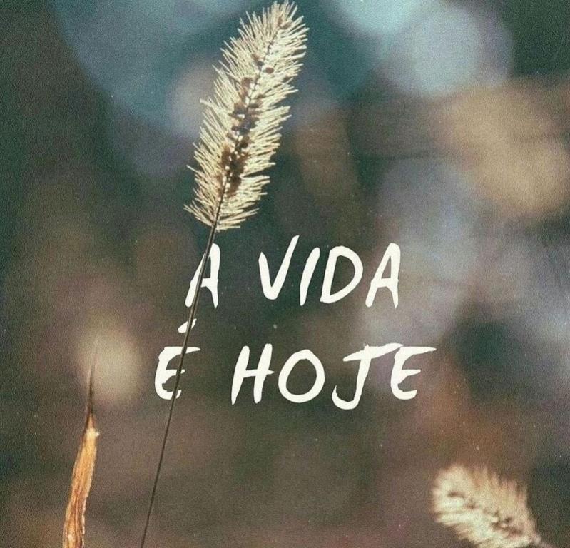 Home Funchal Personal 3, Funchal