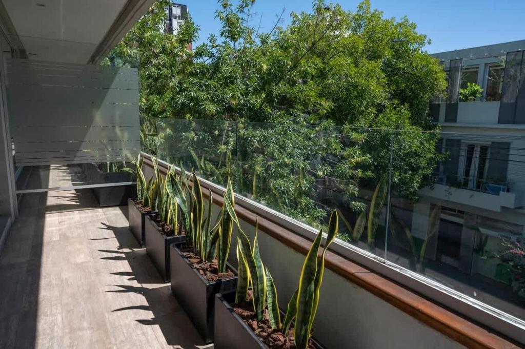 Departamento en Palermo Soho Modern Studio New & Chic - 4