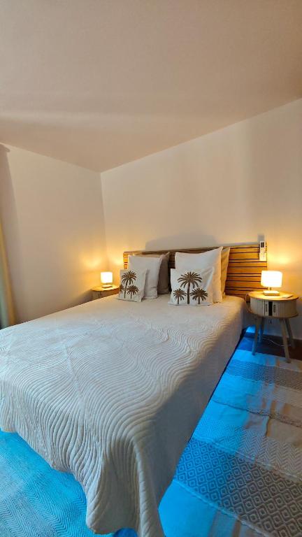 Provençal detached house and private pool - 4