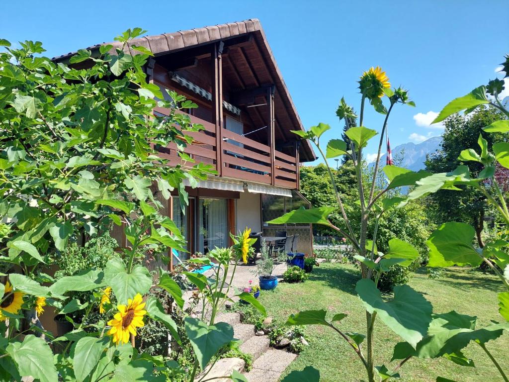 Chalet Rose - Einfamilienhaus - 1
