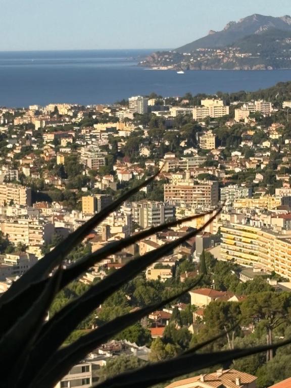 Stunning 3-Room with Panoramic Views Over Cannes - 3