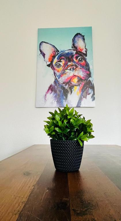 Gemütliches Altbauapartment II, Chemnitz (Saská Kamenice)