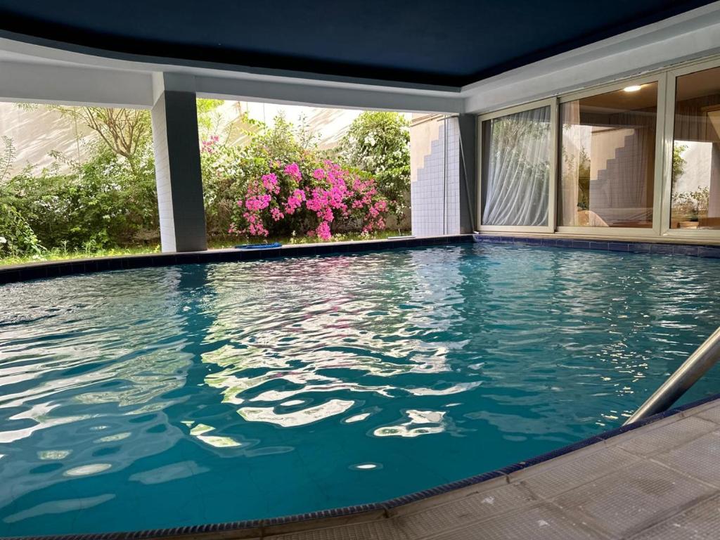 studio pool - 1st Settlement, Káhira