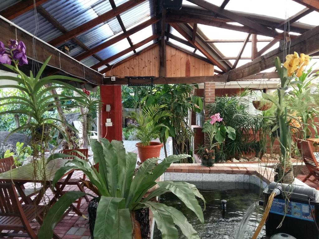 tuin