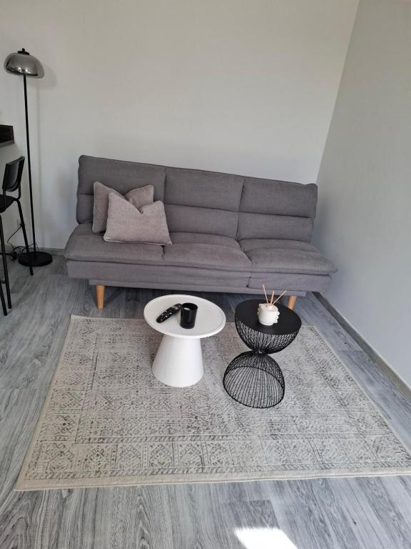 Appartement cosy proche centre-ville - 2