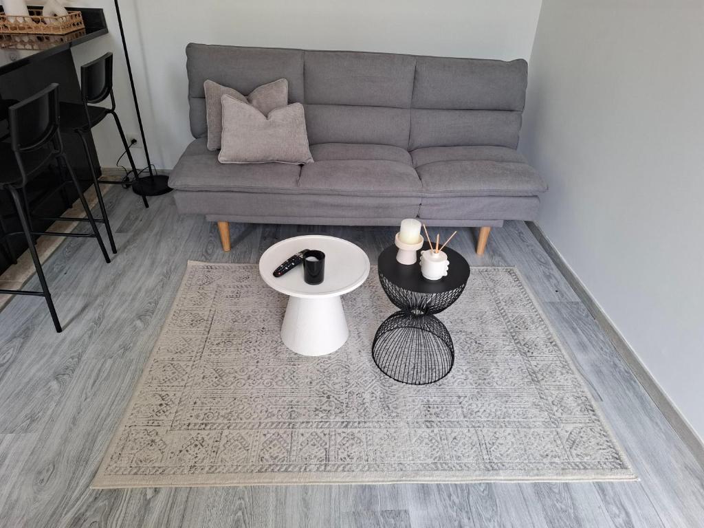 Appartement cosy proche centre-ville - 1