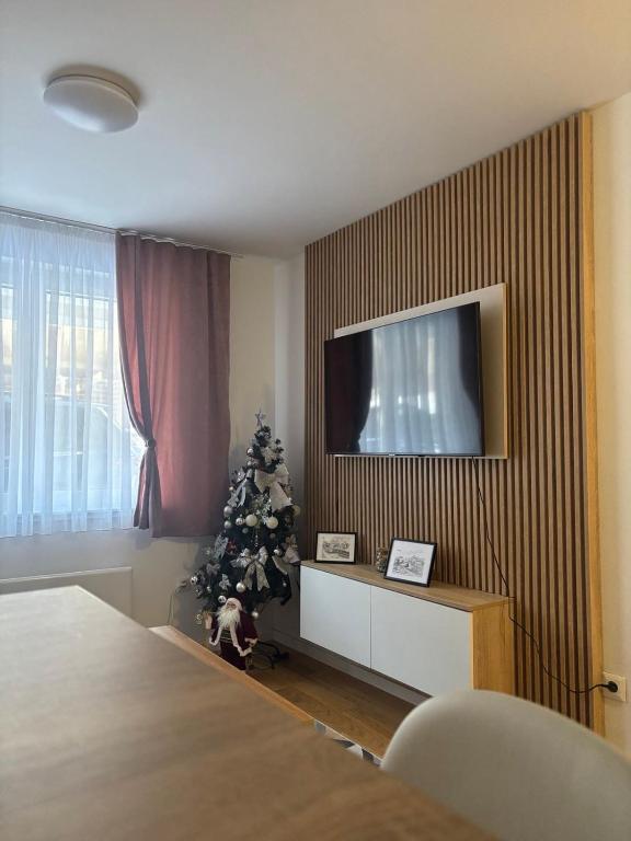 Ski-in Apartment Jahorina - 5