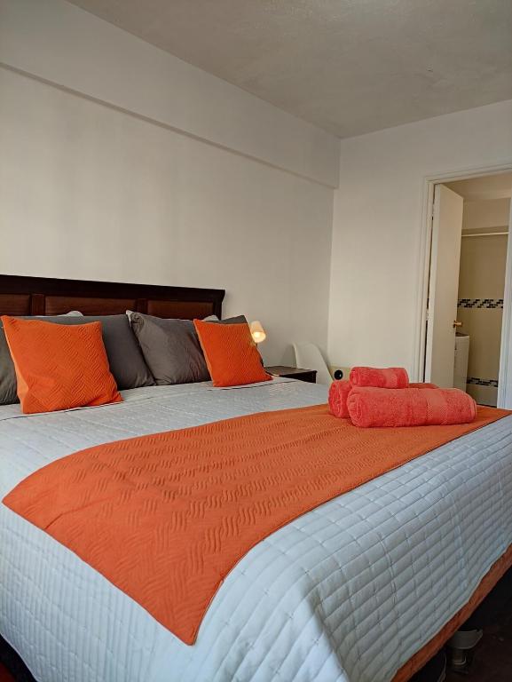 Departamento entero en Plaza de Armas - 2