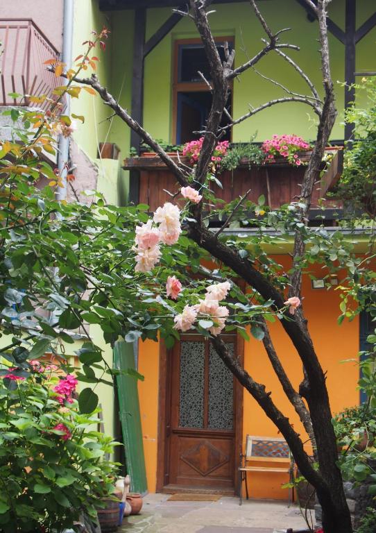 Guest Accommodation Etno Konak Tasana photo