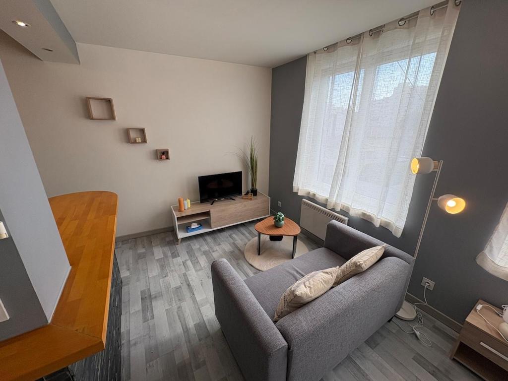 Appartement Cosy au coeur de Saint Etienne - 1