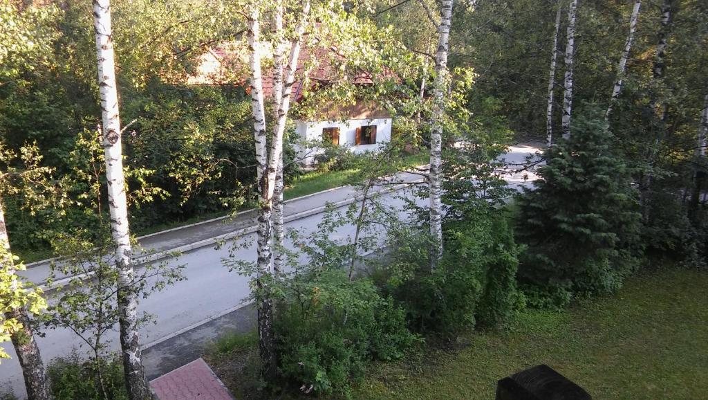 Apartmani Eho Zlatibor photo