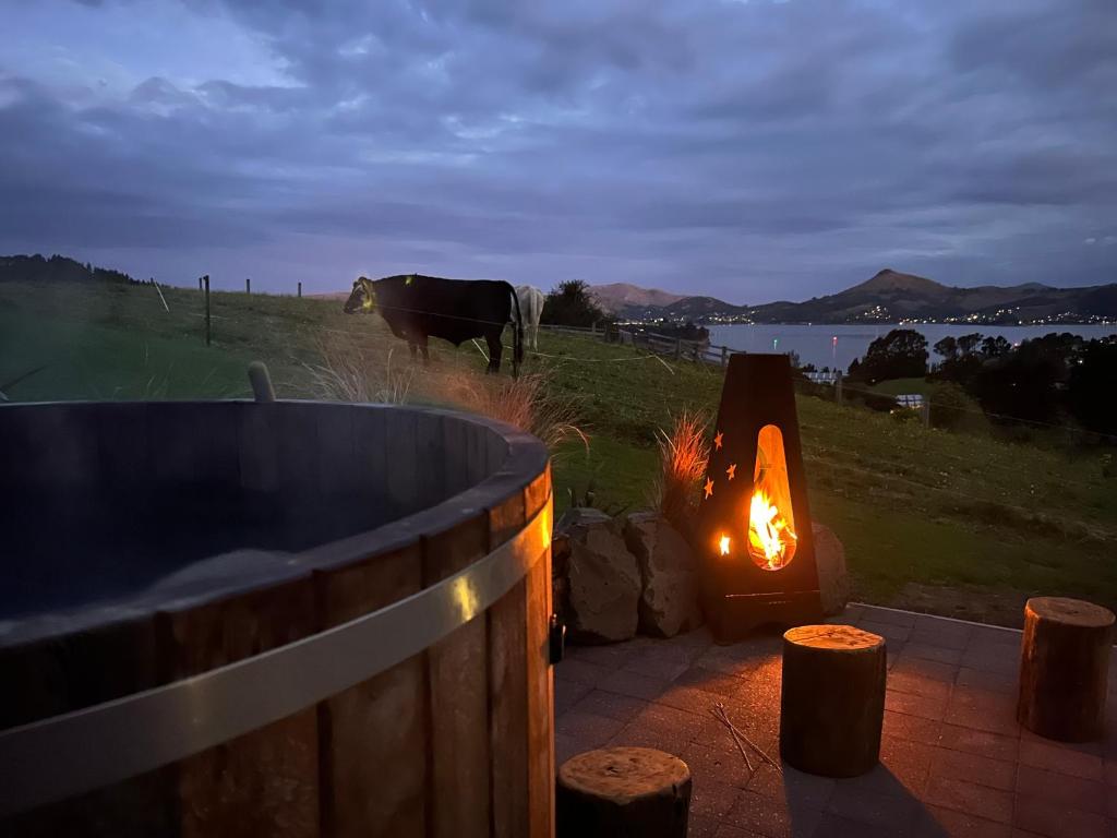 Harbour Hideaway, Dunedin