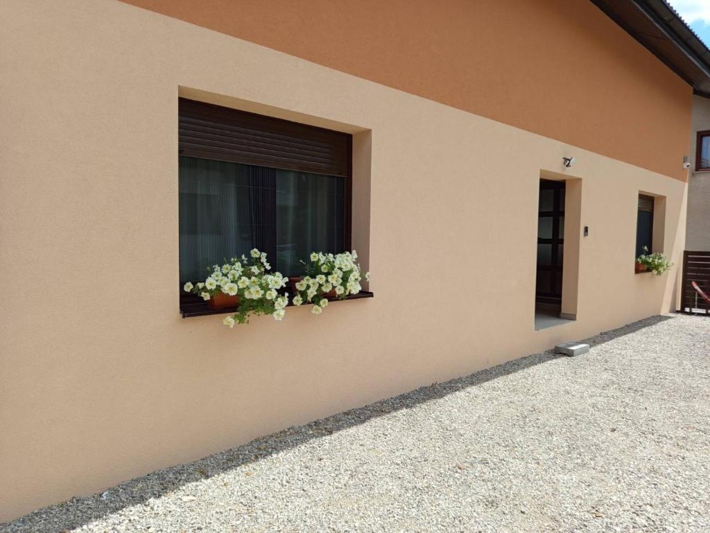 Apartmani Piralis - 4