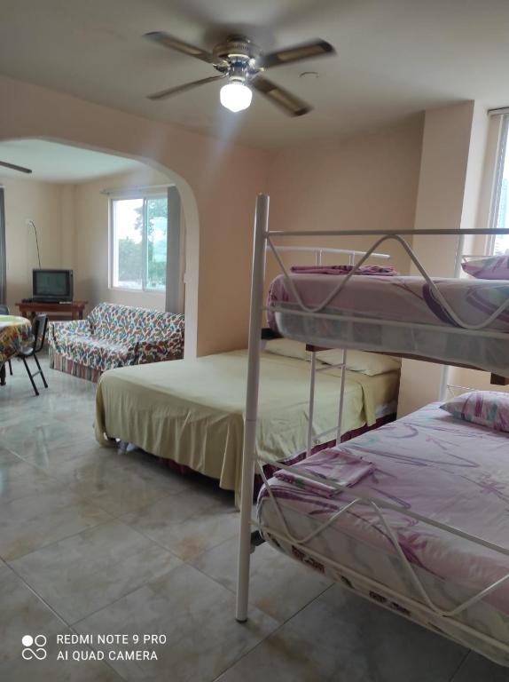 Hostal familiar Badillo Carranco - 5