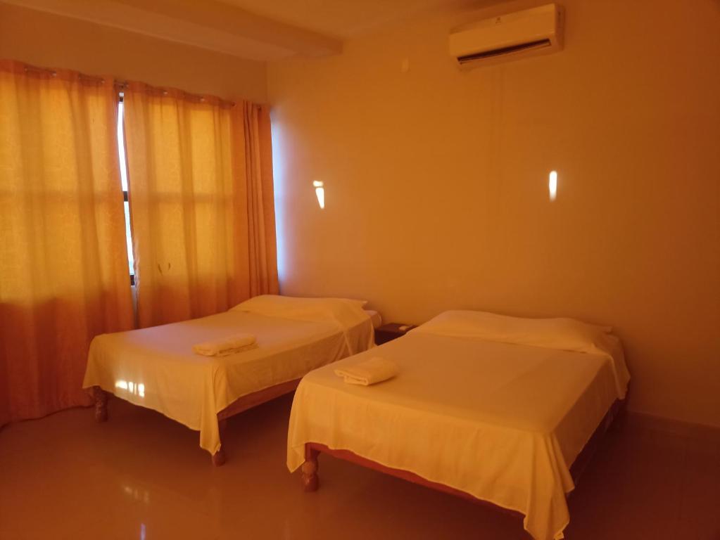 El encanto del mundo amazonico - 5