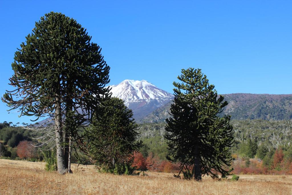 Digital Detox - lo tomamos en serio - 3
