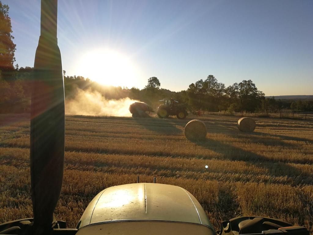 Digital Detox - lo tomamos en serio - 4