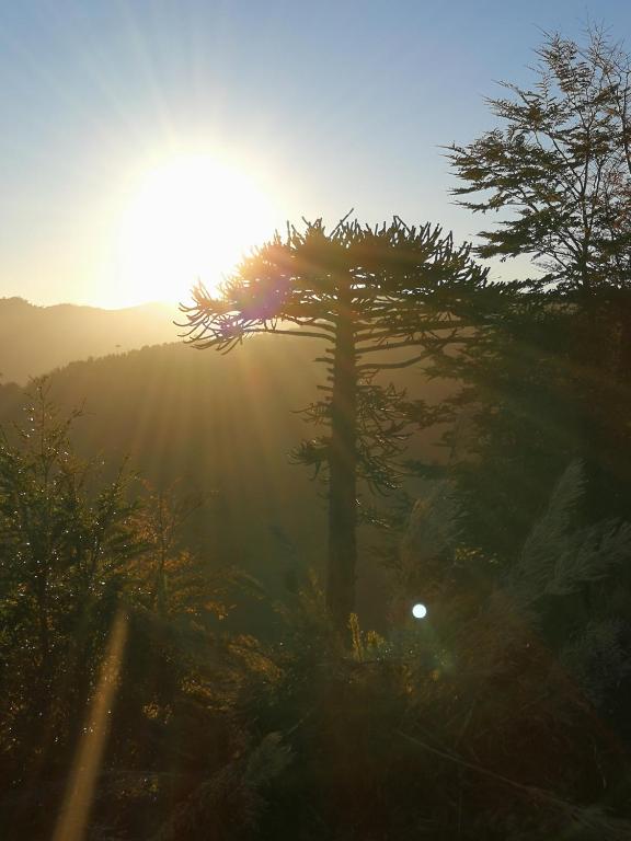 Digital Detox - lo tomamos en serio - 5