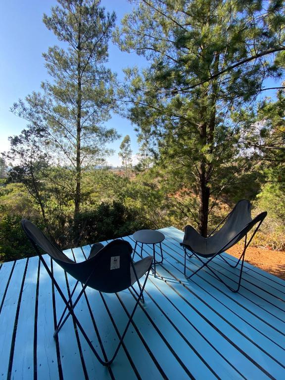 Tiny Houses del bosque - 1