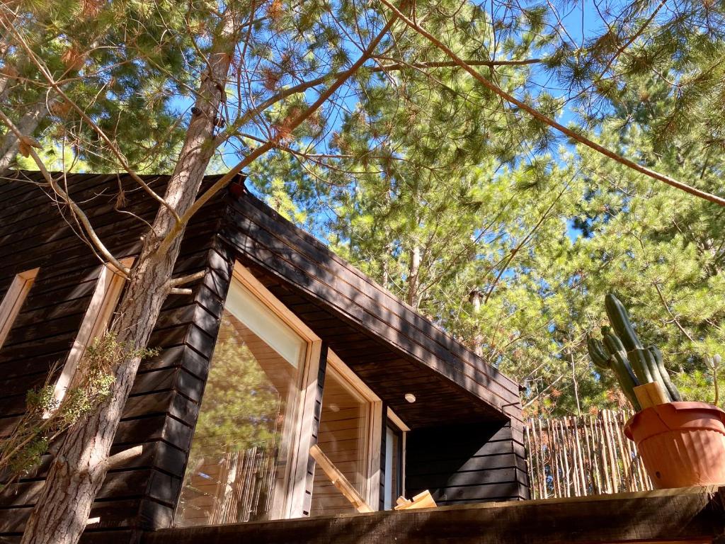 Tiny Houses del bosque - 5