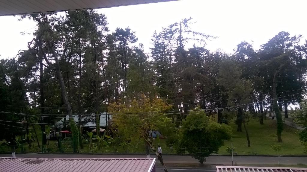 Guest House Kobuleti on Aghmashenebeli photo
