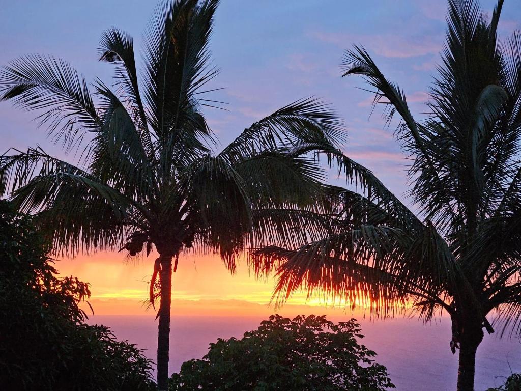 Appartement spacieux avec vue mer à Saint-Leu - 41 m², Saint-Leu