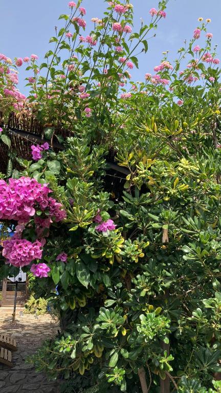 La Casita Azul, L'Escala, Con climatización - 5