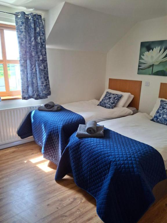 Outskirts of Coleraine, Coleraine