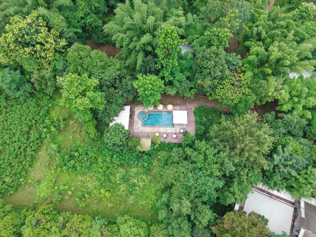 Brij Sone Bagh, Bandhavgarh - A Luxury Jungle Retreat, Tāla