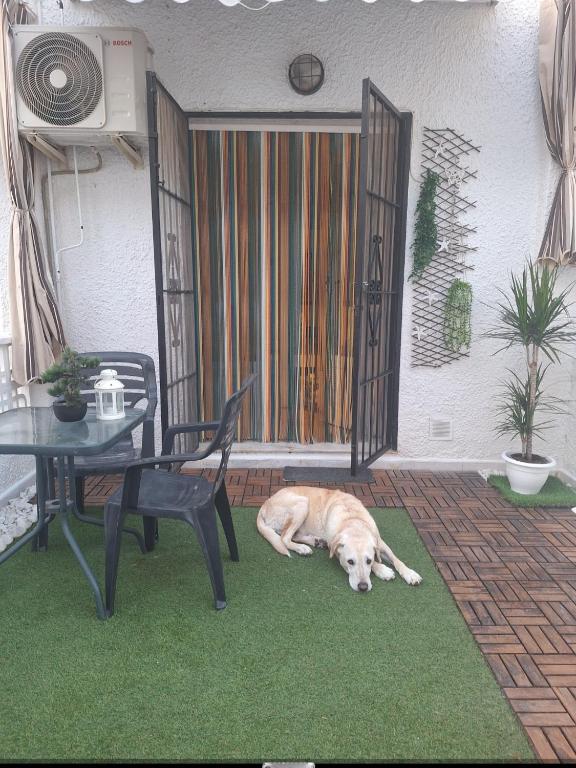 Mi casita, Torrevieja