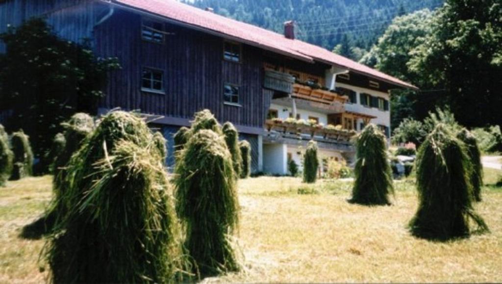 Ferienhof Kösel - 2