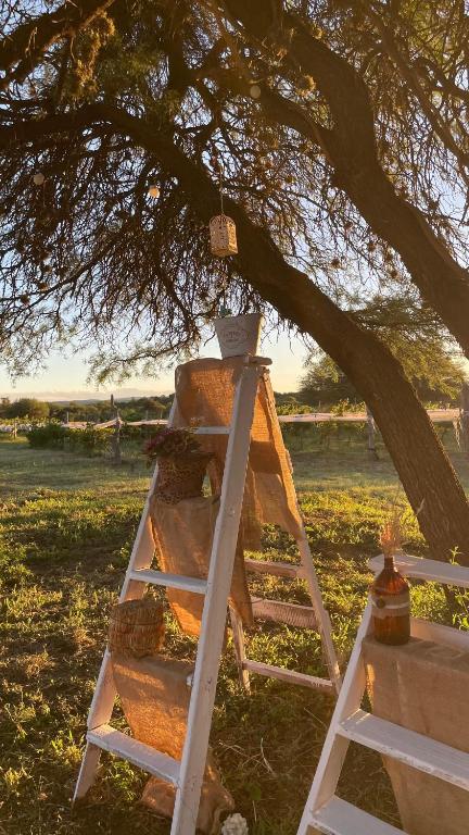 Finca Las Corzuelas - 3