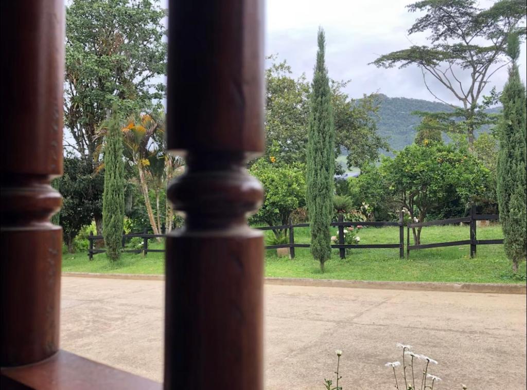 Casa El Pinar - 2