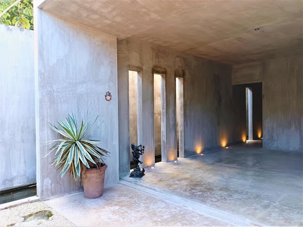 The 44, Fabulous villa for 19 guests in Playa del Carmen - 3